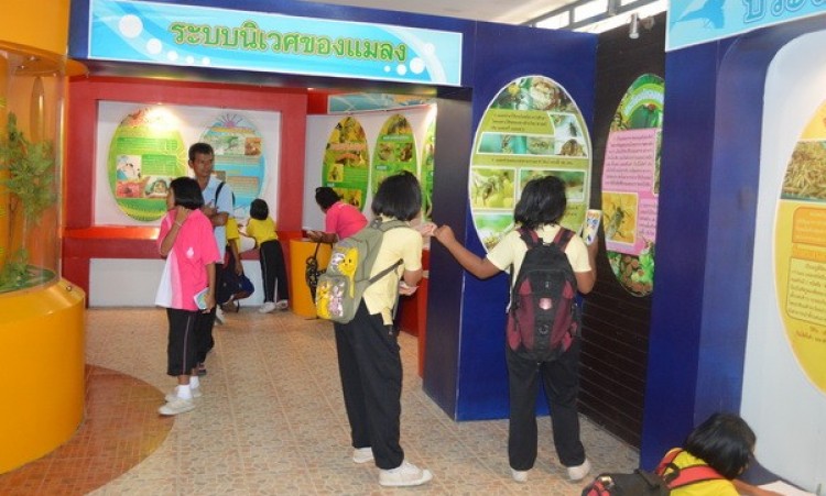ประมวลภาพกิจกรรมนิทรรศการ1